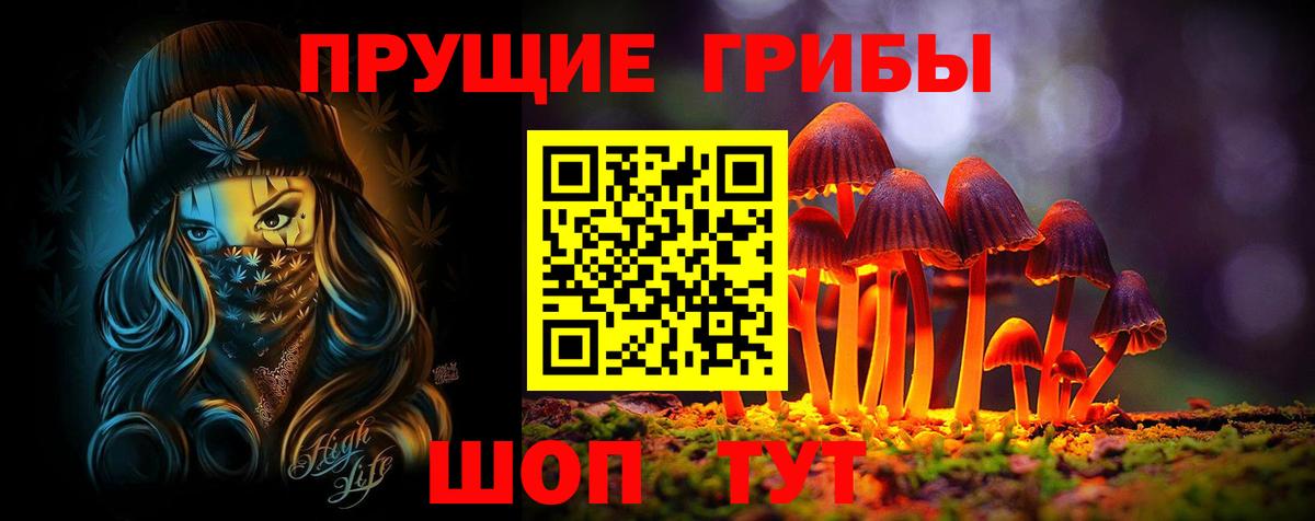 Нижнекамск  Псилоцибиновые грибы Psilocybe  Вход с VPN 